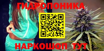 apvp Нарткала