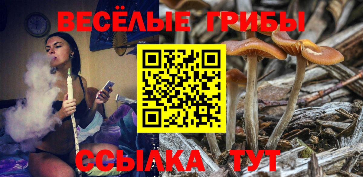 Галлюциногенные грибы мицелий Северск