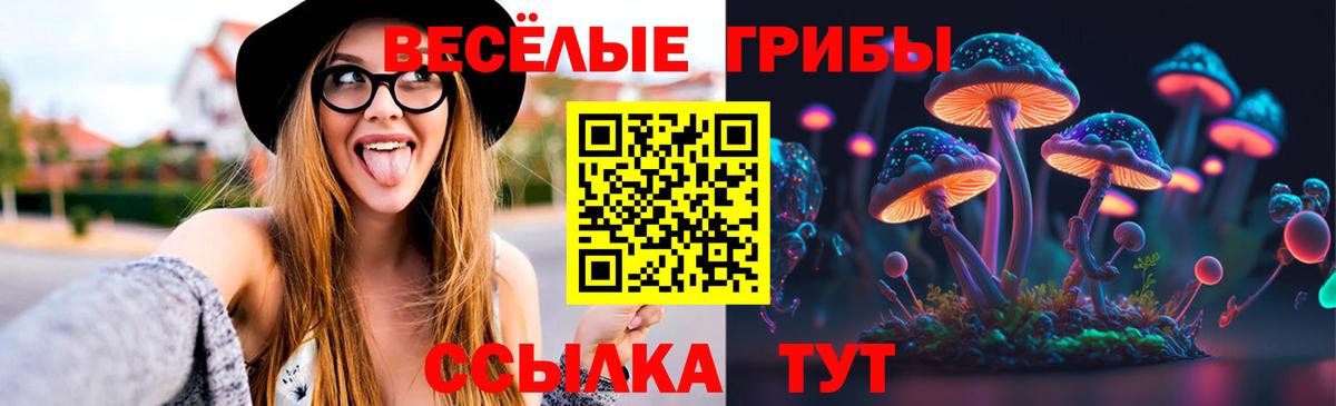Псилоцибиновые грибы ЛСД  Вход с VPN  Северск  Псилоцибиновые грибы GOLDEN TEACHER 
